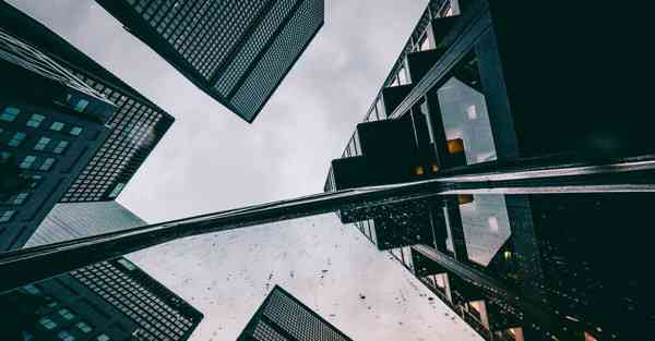 外国语单招大数据的行业文章