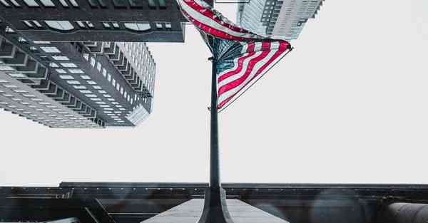 外国语单招大数据的行业文章