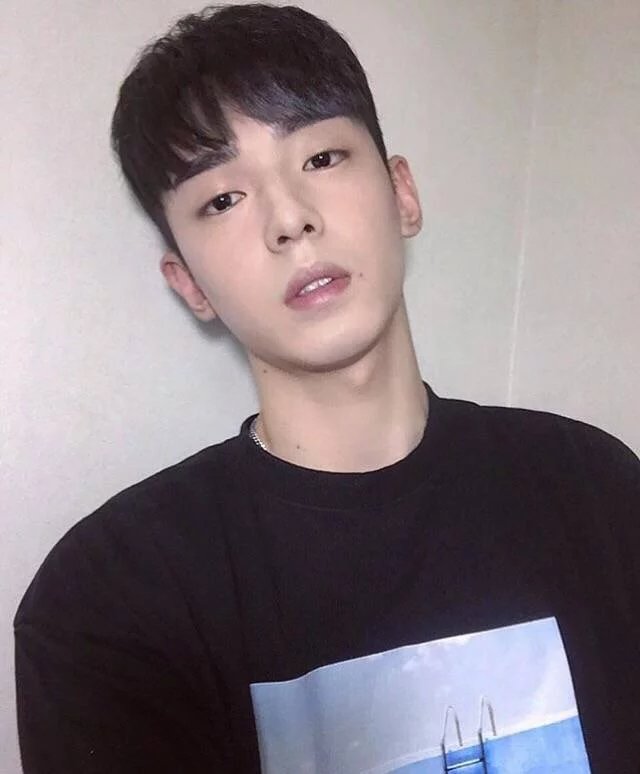 荆伦纪枫