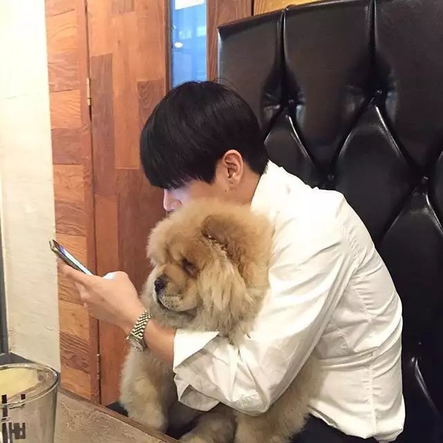 惠梵安伦