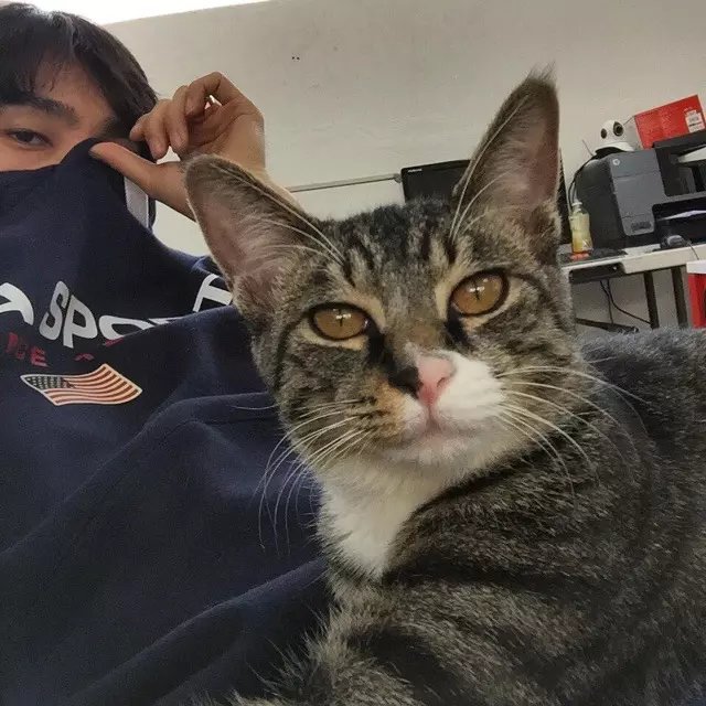 花容东贞