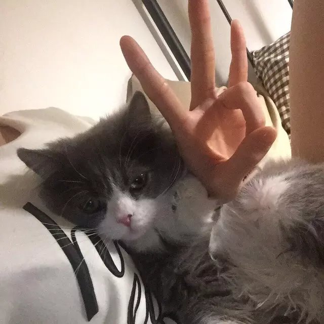 欧阳翠超振