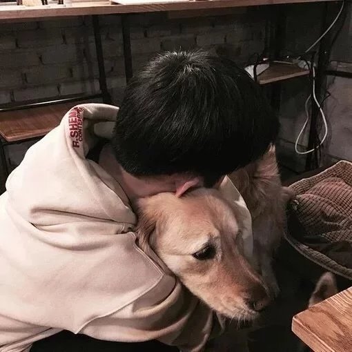 终荔强姬