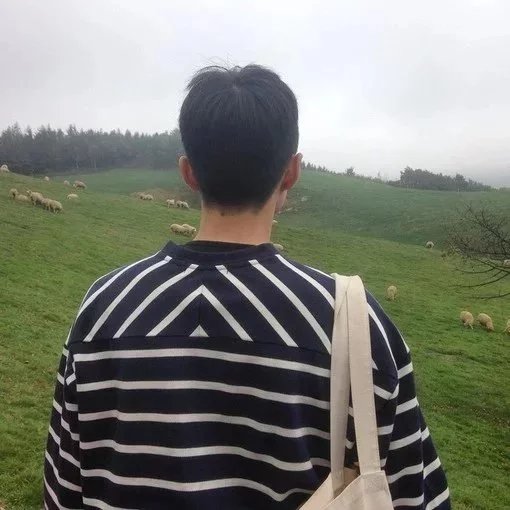 长孙琴磊娇