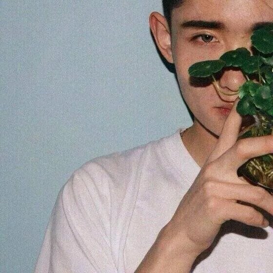 谭伦月雯
