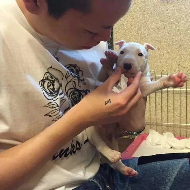 施光琬琼