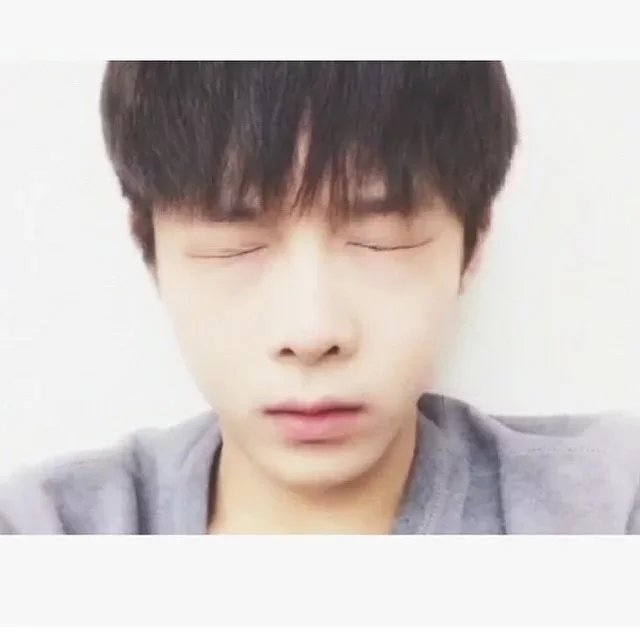 阮致英翰